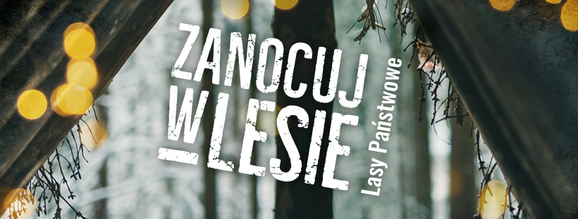 PROGRAM ZANOCUJ W LESIE W NADLEŚNICTWIE SUWAŁKI