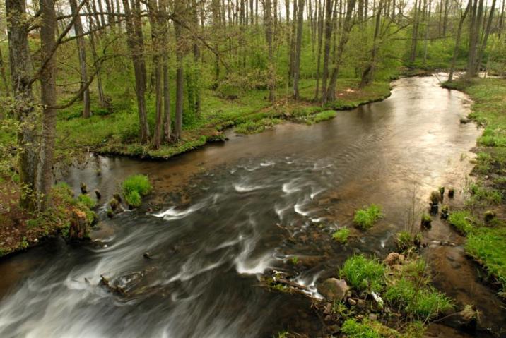 Czarna Hańcza, fot. Roman Rogoziński
