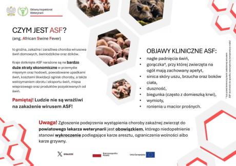 Zagrożenie ASF – apel Powiatowego Lekarza Weterynarii w Suwałkach